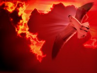 /album/photo-gallery-ljubov-i-romantika/love-and-romance-wallpapers-073-jpg/